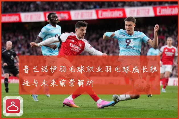 普兰诺伊羽毛球职业羽毛球成长轨迹与未来前景解析