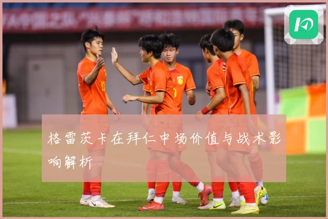 格雷茨卡在拜仁中场价值与战术影响解析