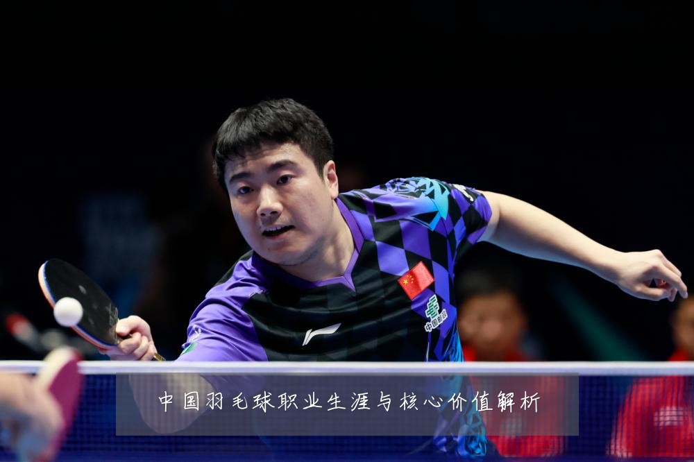 中国羽毛球职业生涯与核心价值解析