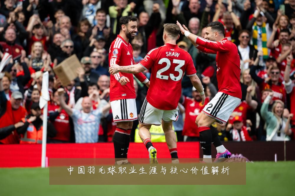 中国羽毛球职业生涯与核心价值解析